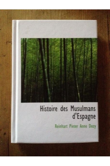 Histoire Des Musulmans D'Espagne