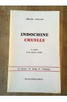 Indochine cruelle, le roman d'une guerre enlisée