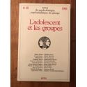 L'adolescent et les groupes