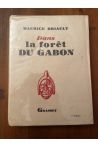 Dans la forêt du Gabon, études et scènes africaines