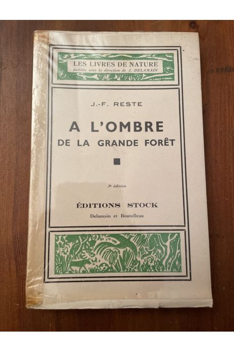 A l'ombre de la grande forêt