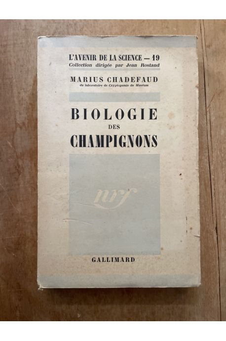 Biologie des champignons