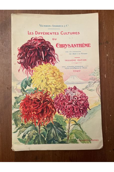 Les différentes cultures du chrysanthème