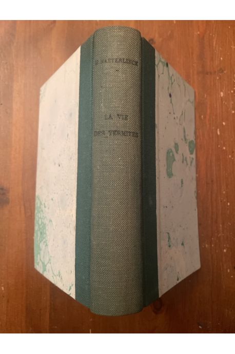 La vie des Termites 