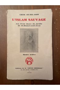L'Islam sauvage, Philosophie, Théologie, Moeurs arabes