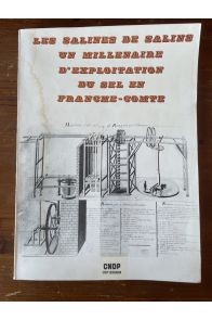 Les salines de Salins, un millenaire d'exploitation du sel en Franche-Comté