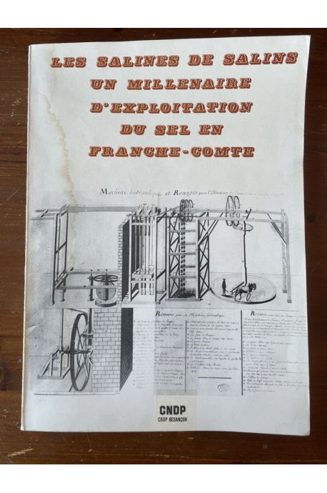 Les salines de Salins, un millenaire d'exploitation du sel en Franche-Comté