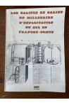 Les salines de Salins, un millenaire d'exploitation du sel en Franche-Comté