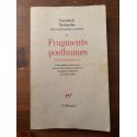 Fragments posthumes Printemps-automne 1884, Oeuvres philosophiques complètes tome X