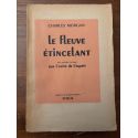 Le fleuve étincelant
